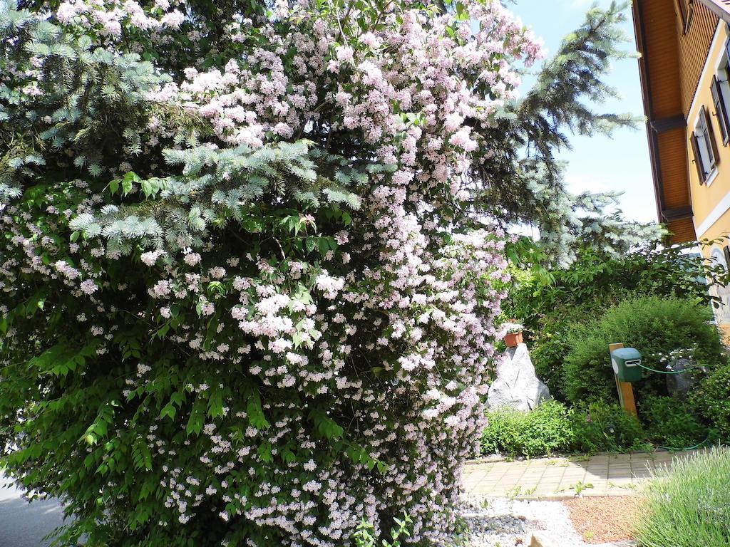 Gaestehaus Ulbl كيتسك إيم زاوزال المظهر الخارجي الصورة